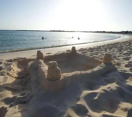 Flower 25 Apartment *